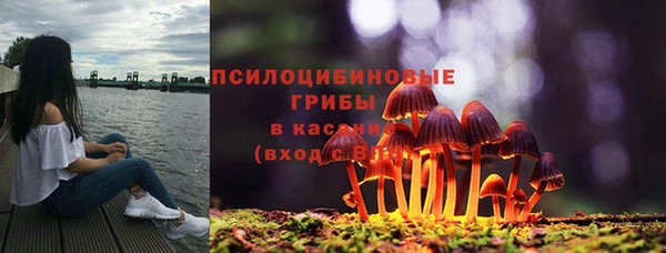 MDMA Каменногорск